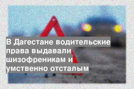 В Дагестане водительские права выдавали шизофреникам и умственно отсталым