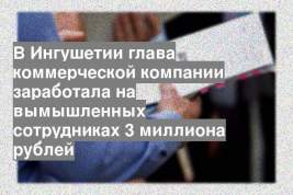 В Ингушетии глава коммерческой компании заработала на вымышленных сотрудниках 3 миллиона рублей