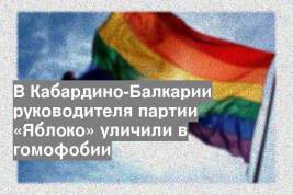 В Кабардино-Балкарии руководителя партии «Яблоко» уличили в гомофобии