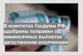 В комитетах Госдумы РФ одобрены поправки о ежемесячных выплатах дагестанским ополченцам