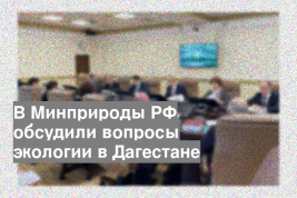 В Минприроды РФ обсудили вопросы экологии в Дагестане