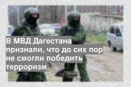 В МВД Дагестана признали, что до сих пор не смогли победить терроризм