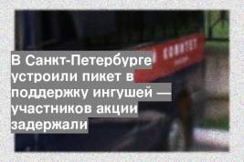 В Санкт-Петербурге устроили пикет в поддержку ингушей — участников акции задержали