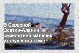 В Северной Осетии-Алании семилетний мальчик утонул в водоеме