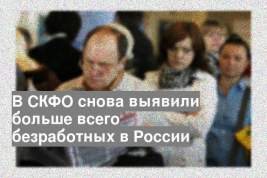 В СКФО снова выявили больше всего безработных в России