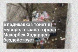 Владикавказ тонет в мусоре, а глава города Махарбек Хадарцев бездействует