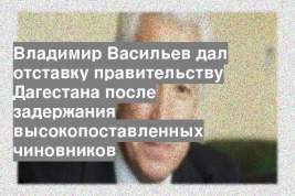 Владимир Васильев дал отставку правительству Дагестана после задержания высокопоставленных чиновников