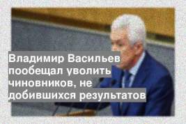 Владимир Васильев пообещал уволить чиновников, не добившихся результатов
