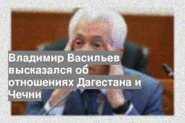 Владимир Васильев высказался об отношениях Дагестана и Чечни