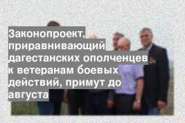 Законопроект, приравнивающий дагестанских ополченцев к ветеранам боевых действий, примут до августа