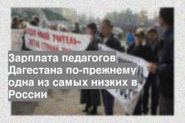 Зарплата педагогов Дагестана по-прежнему одна из самых низких в России